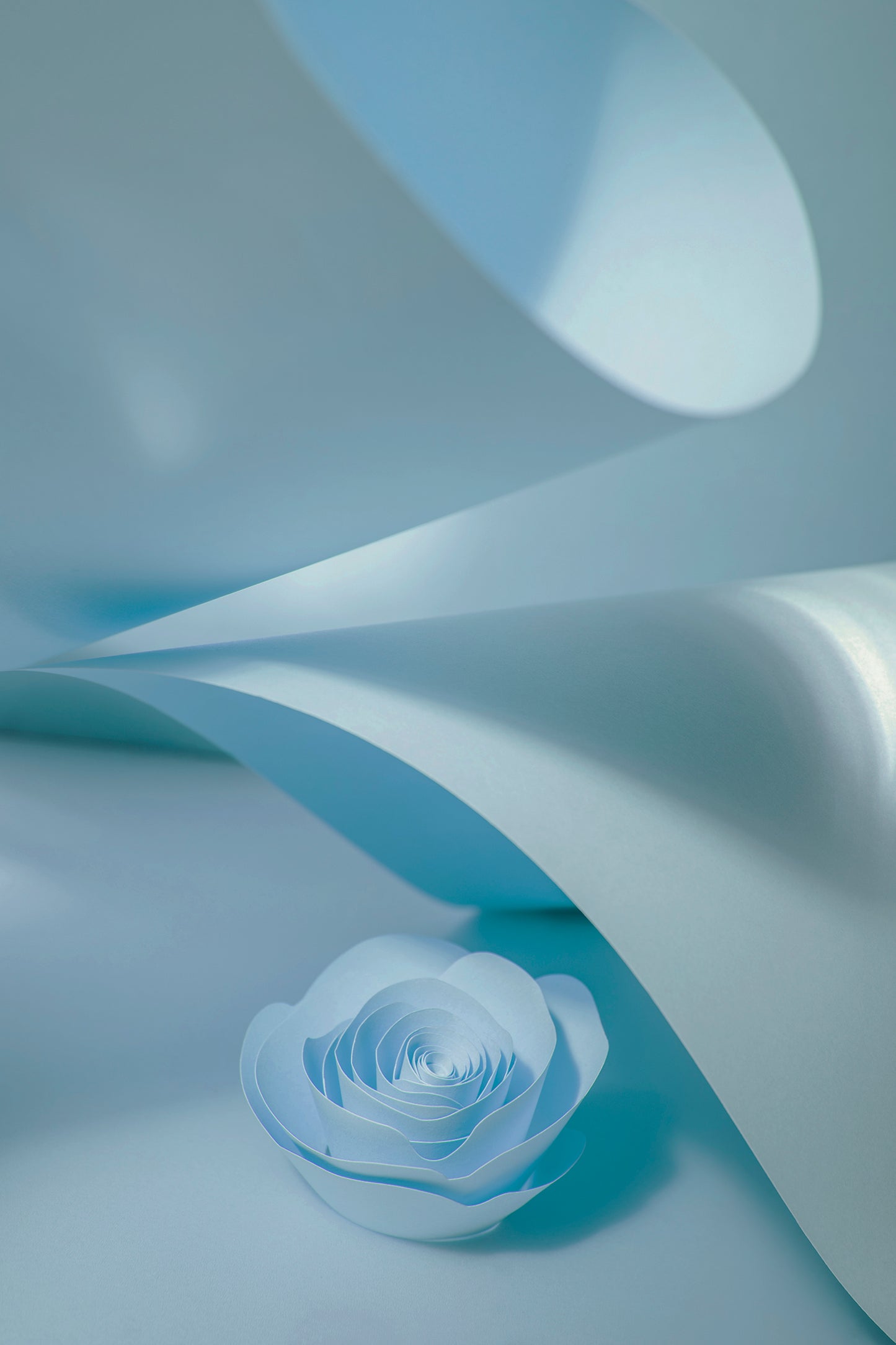 Livre d'or cadre (18 coloris)