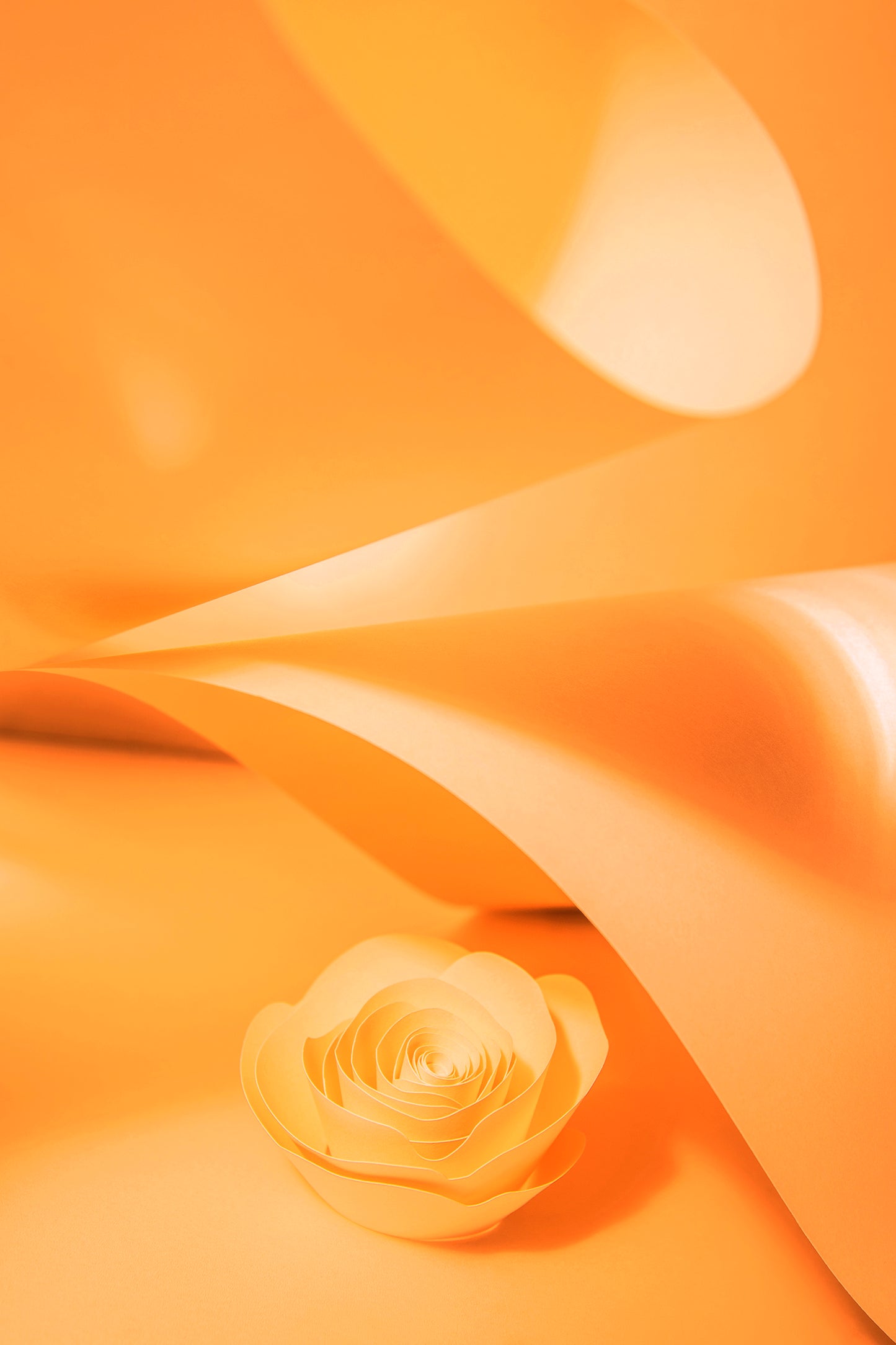 Livre d'or cadre (18 coloris)