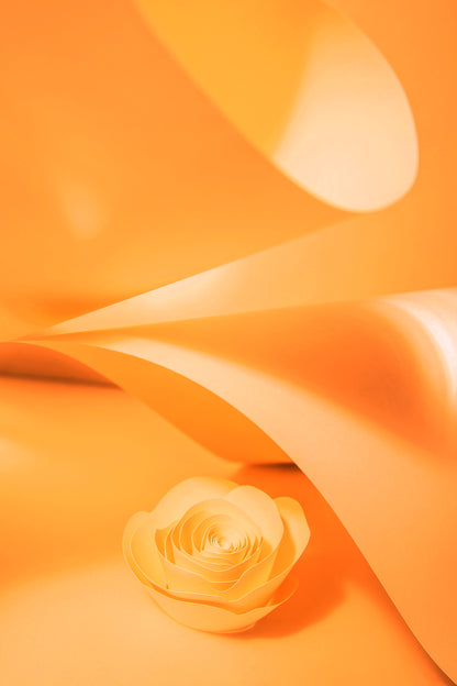 Livre d'or cadre (18 coloris)