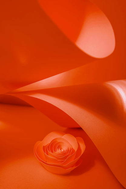 Livre d'or cadre (18 coloris)