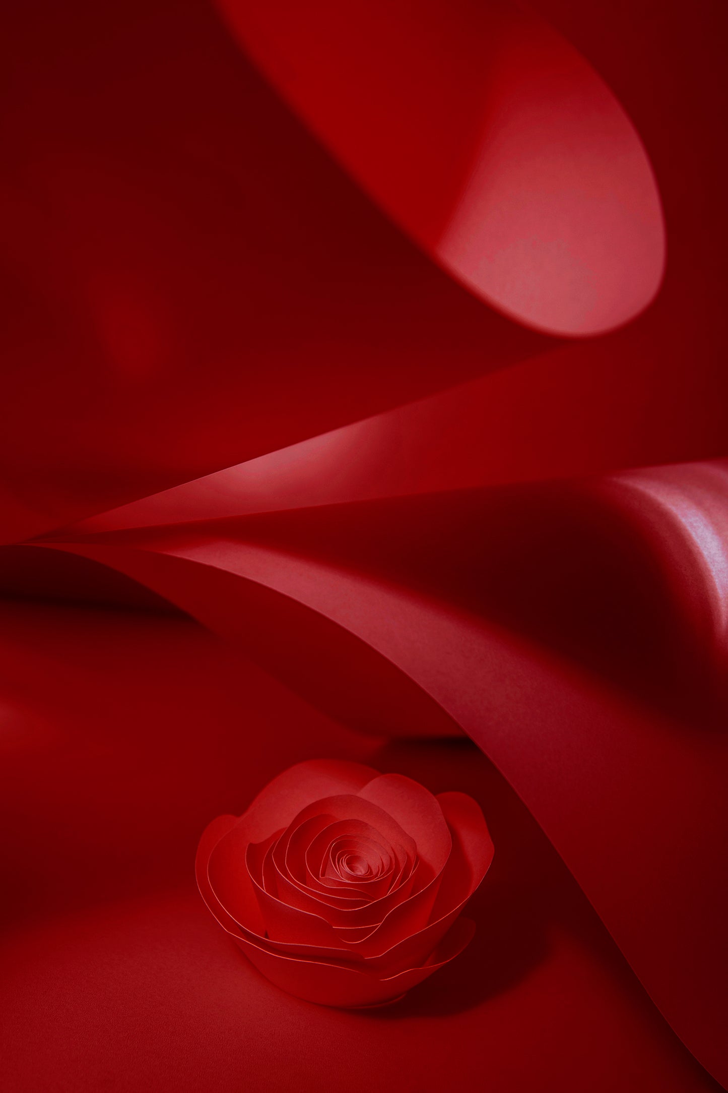 Livre d'or cadre (18 coloris)