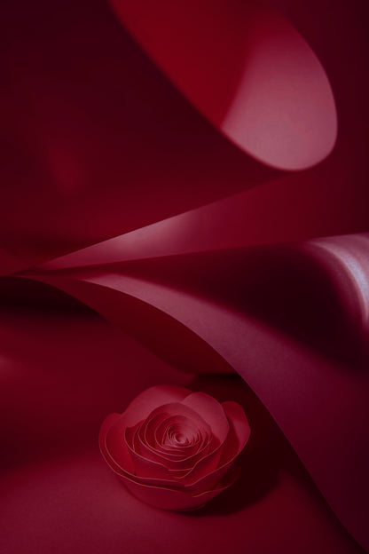 Livre d'or cadre (18 coloris)