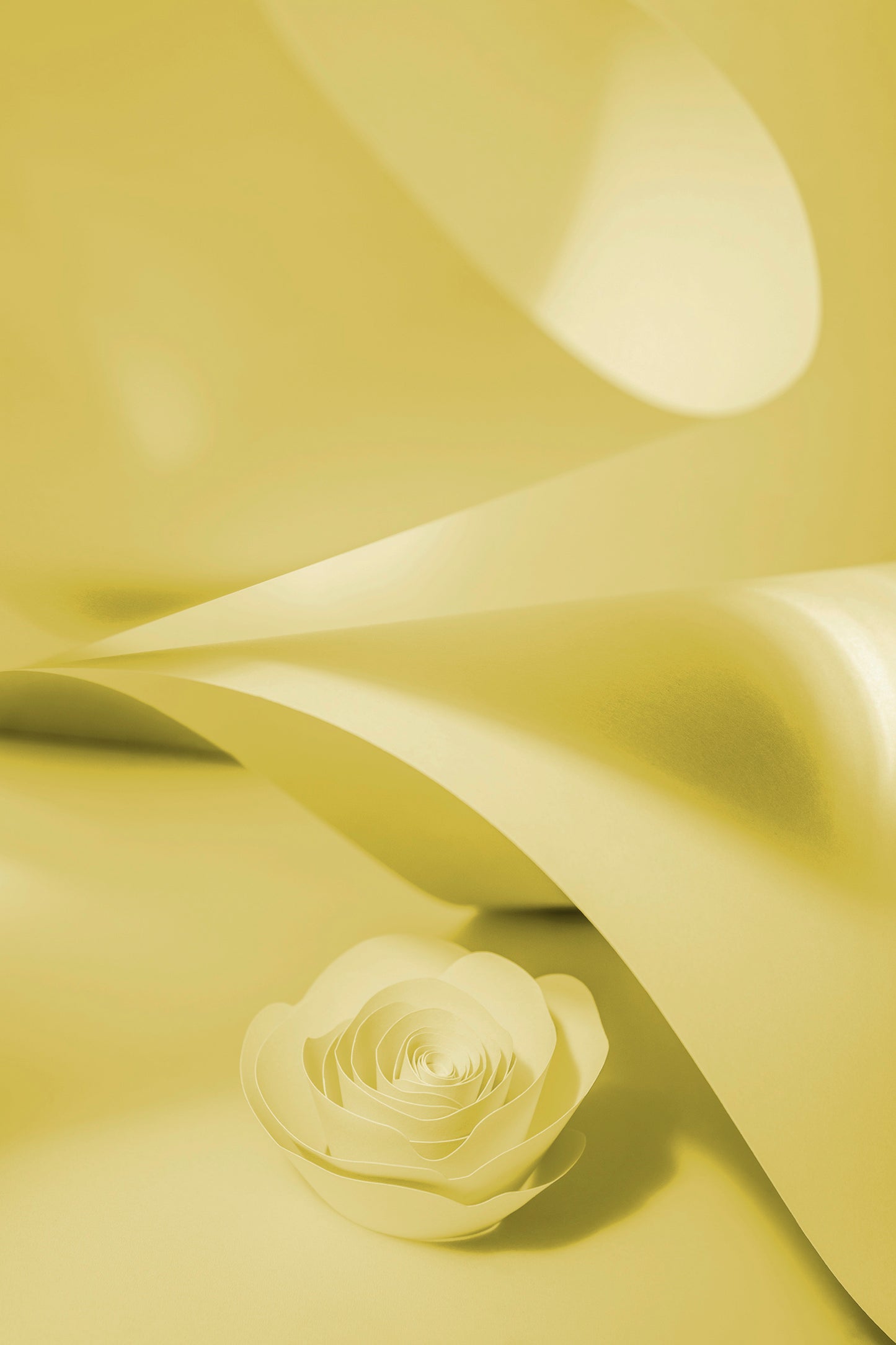 Livre d'or cadre (18 coloris)