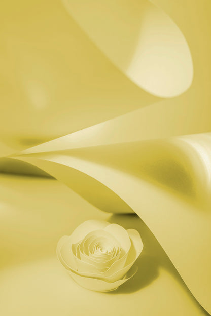 Livre d'or cadre (18 coloris)