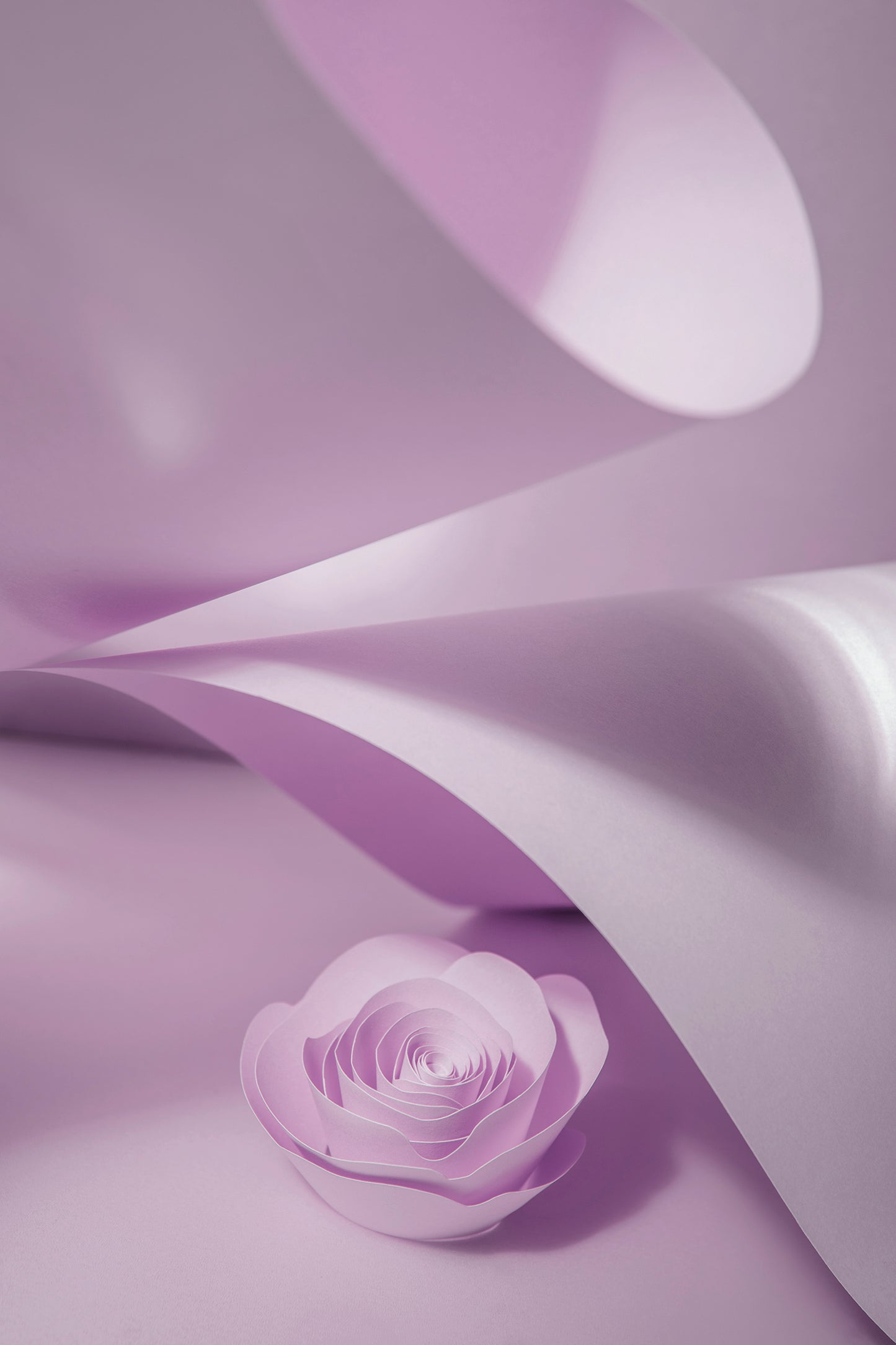 Livre d'or cadre (18 coloris)