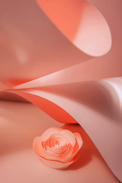 Livre d'or cadre (18 coloris)