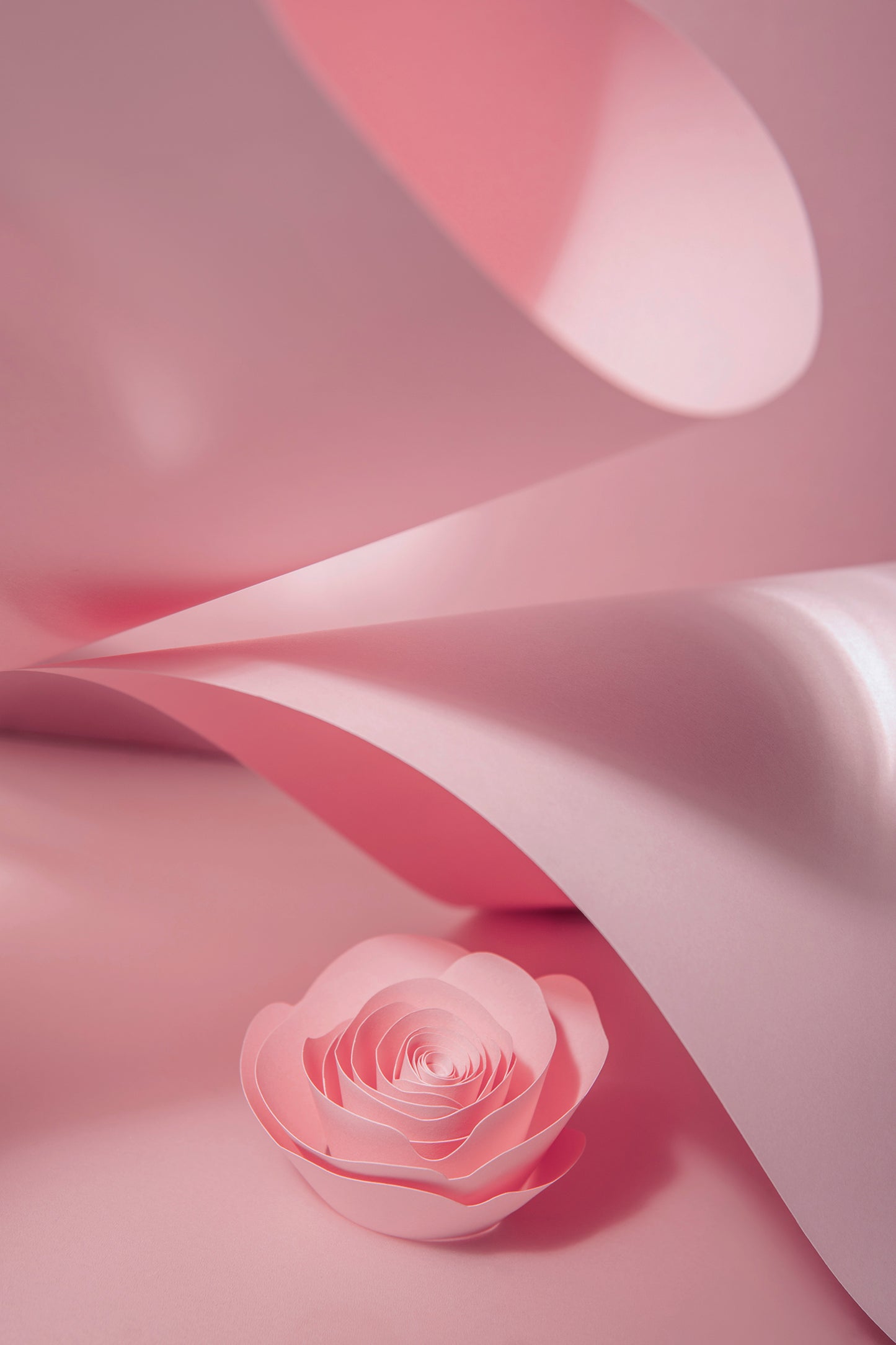 Livre d'or cadre (18 coloris)