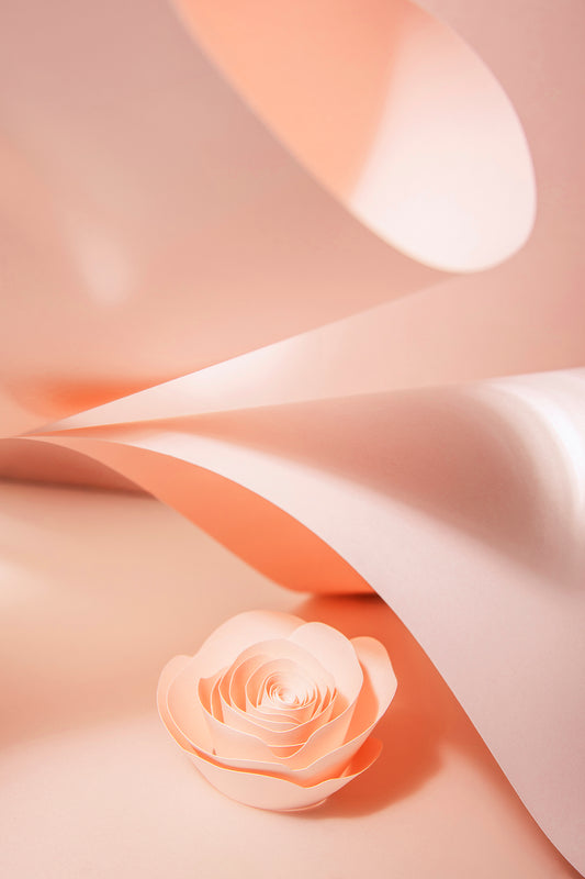 Livre d'or cadre (18 coloris)