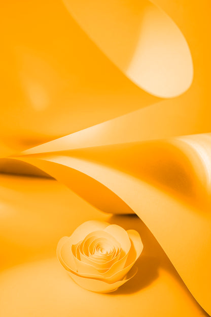 Livre d'or cadre (18 coloris)