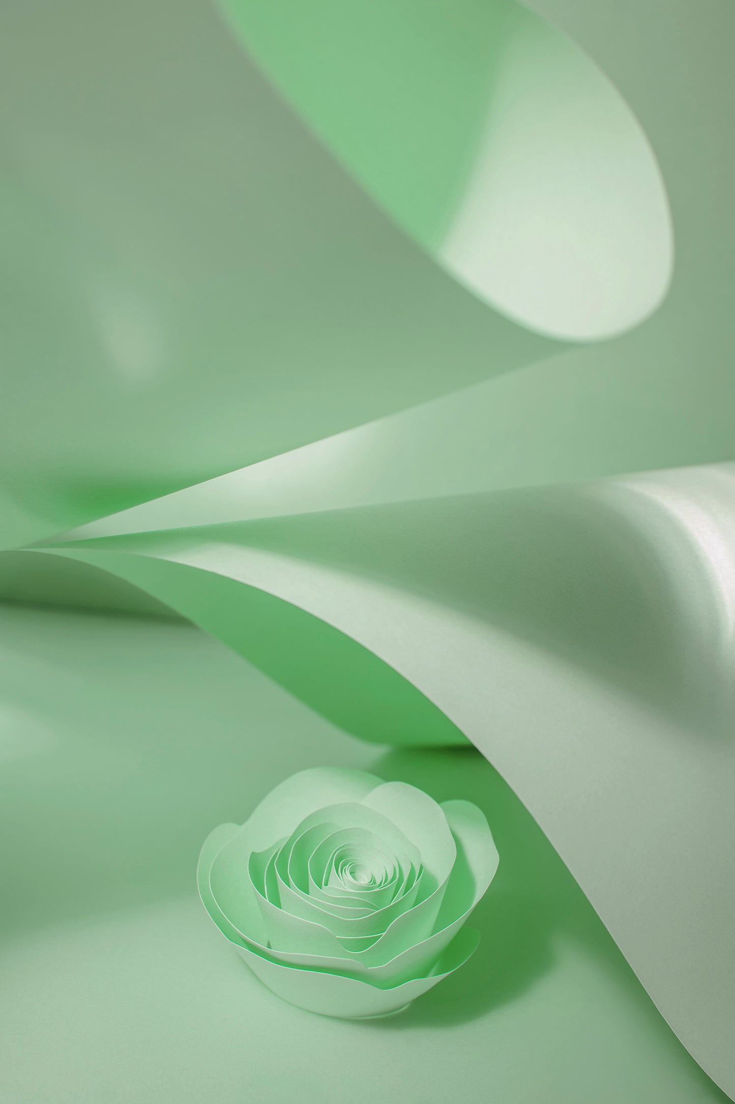 Livre d'or cadre (18 coloris)