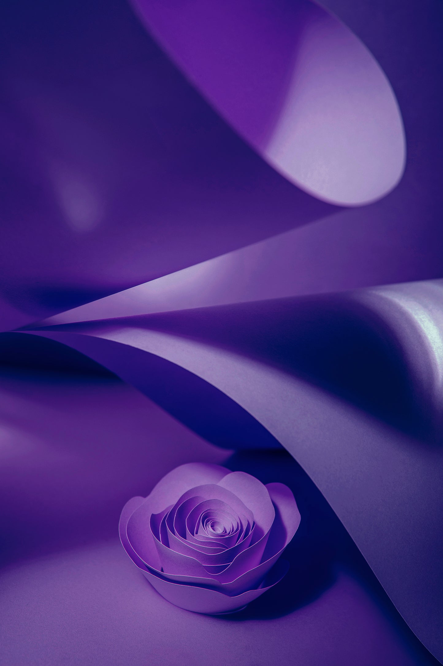 Livre d'or cadre (18 coloris)